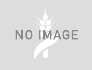 家庭と幼稚園・保育所をつなぐ 第1回 「夢中で遊びこむ中で学ぶ」